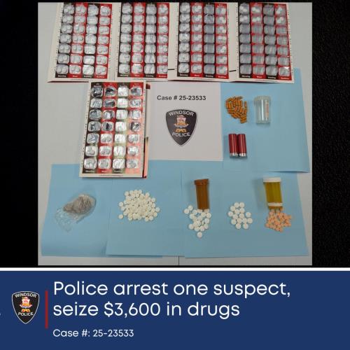 Photograph of seized drugs and ammunition